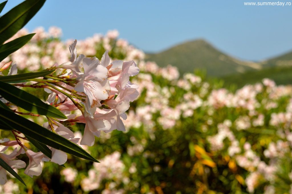 parga -paxos-antipaxos-iunie-2016 212