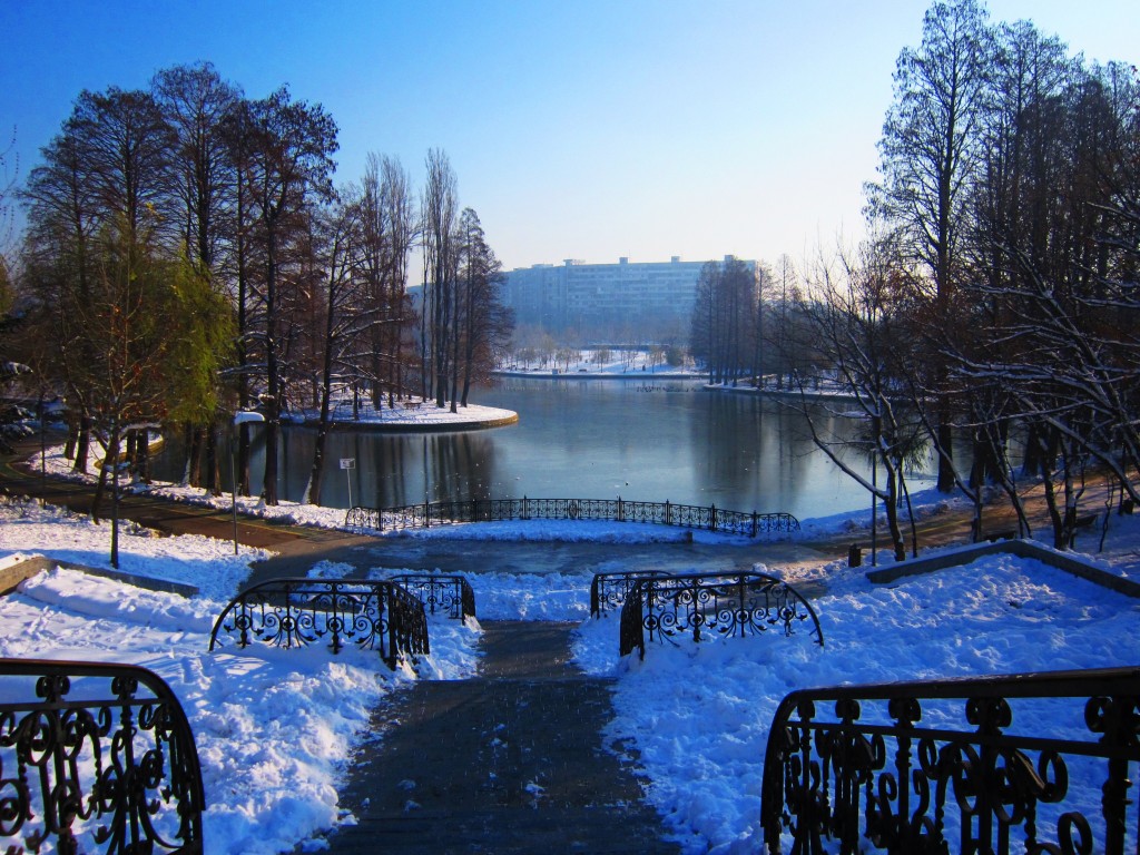iarna-in-parc